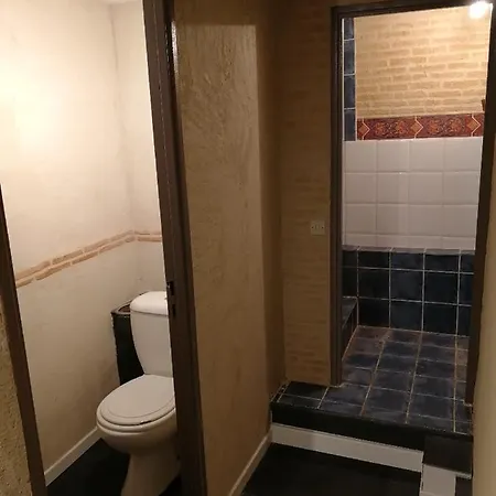 Loft En Rez De Chaussee Fabregues